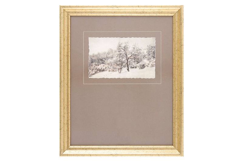 Coconino Framed Art by Surya
