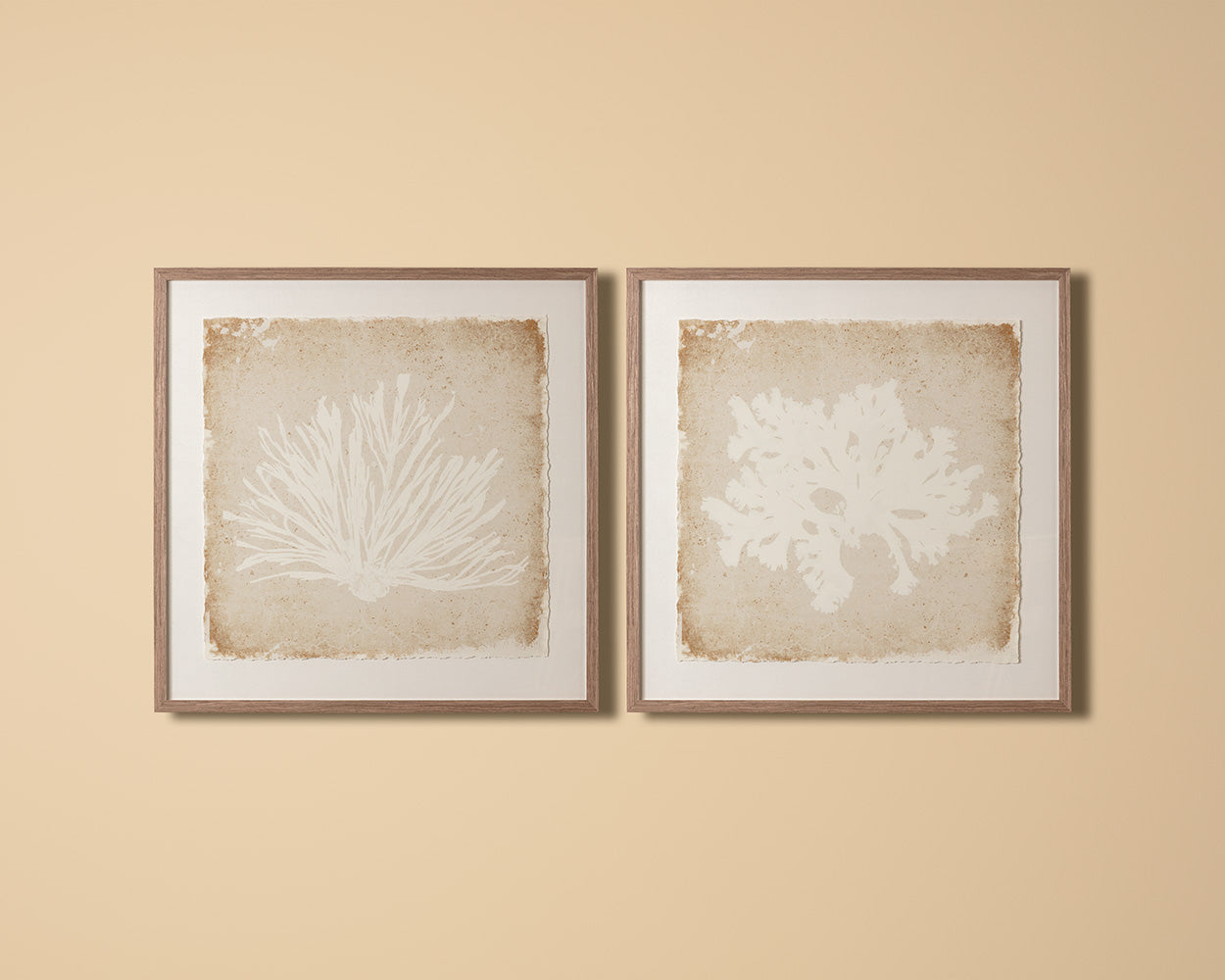 Aquatic Flora I - 40" X 40" - Medium Brown Frame