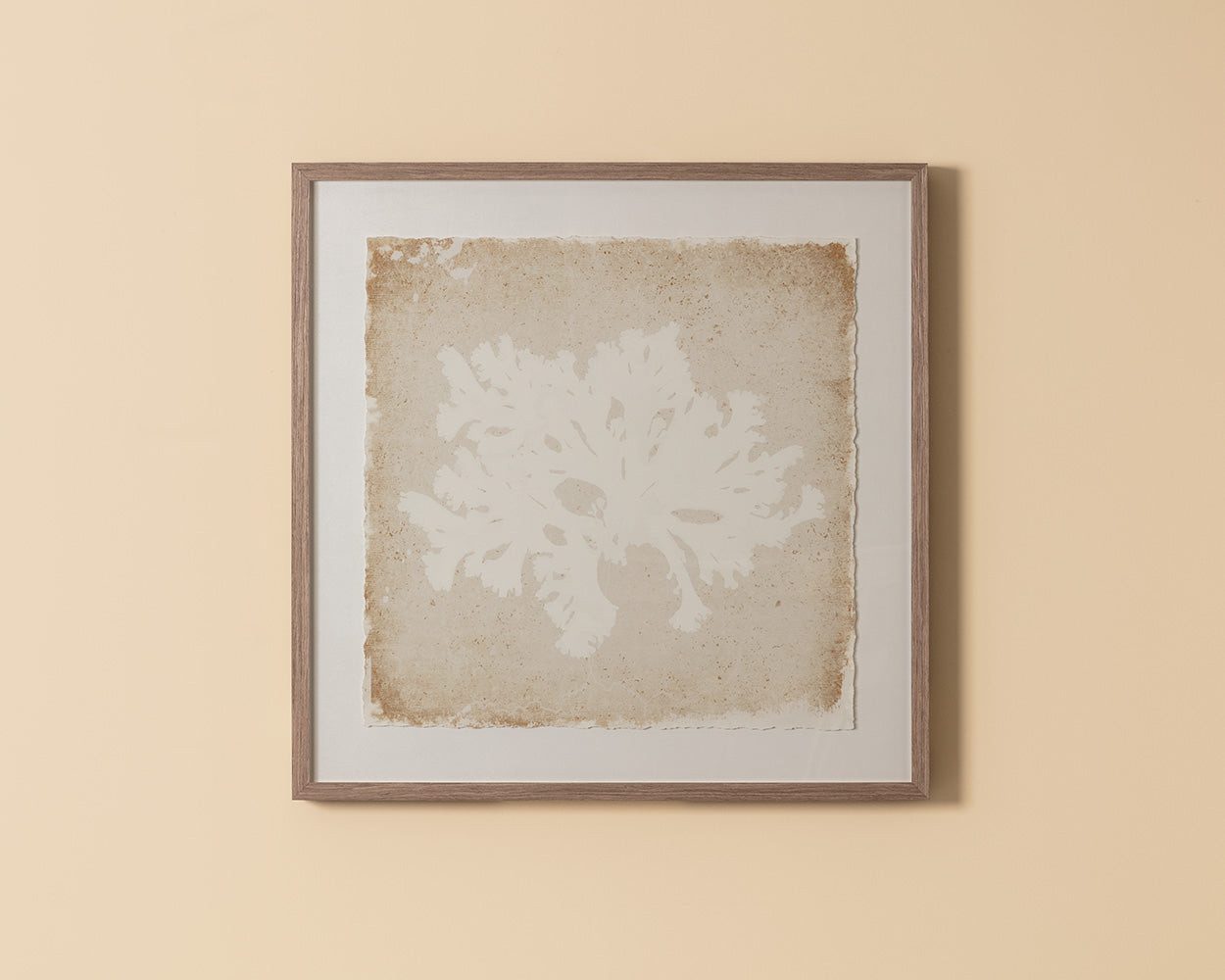 Aquatic Flora II - 40" X 40" - Medium Brown Frame
