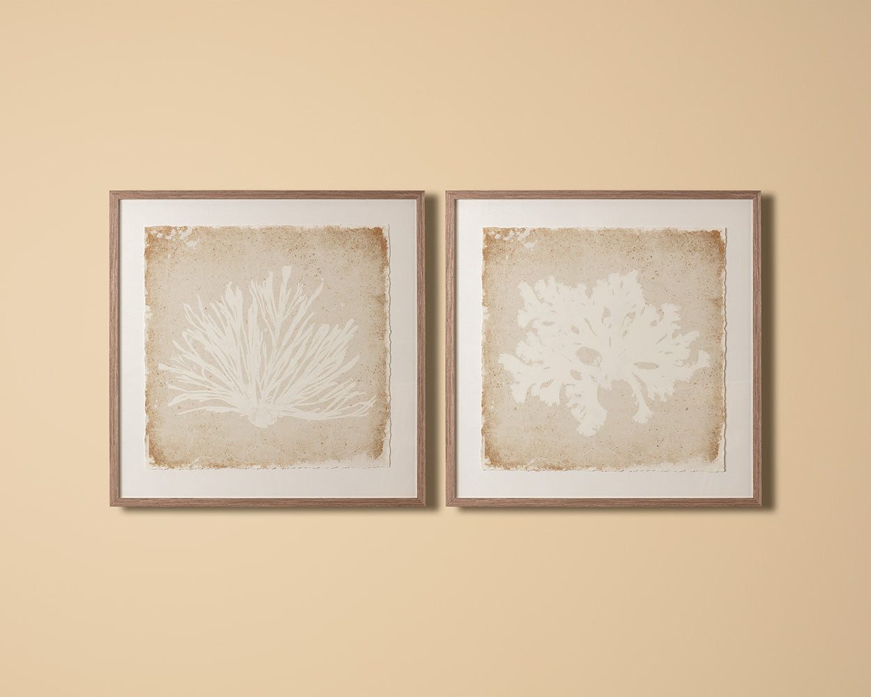 Aquatic Flora II - 40" X 40" - Medium Brown Frame