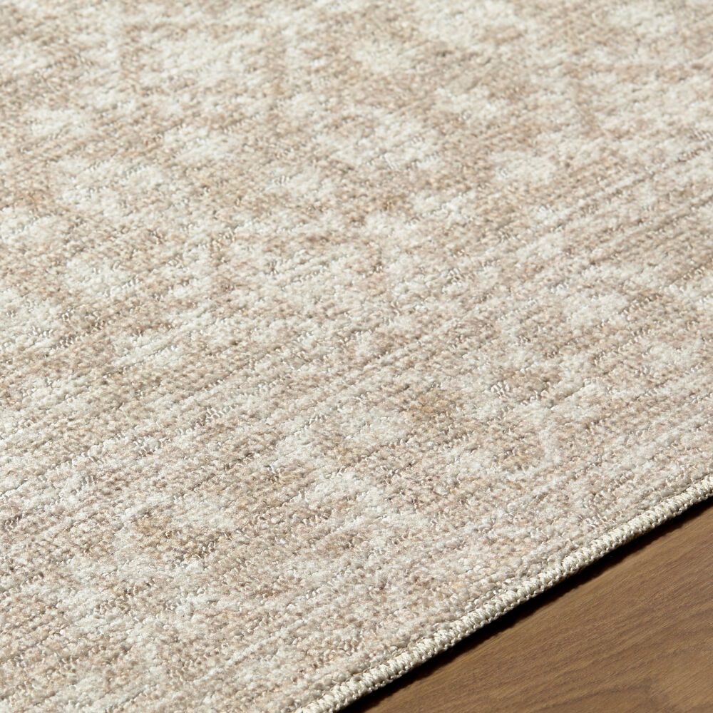 Aram Machine Woven Rug
