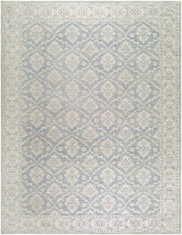 Aram Machine Woven Rug