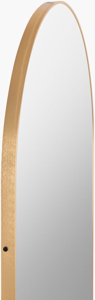 Aranya Accent Mirror