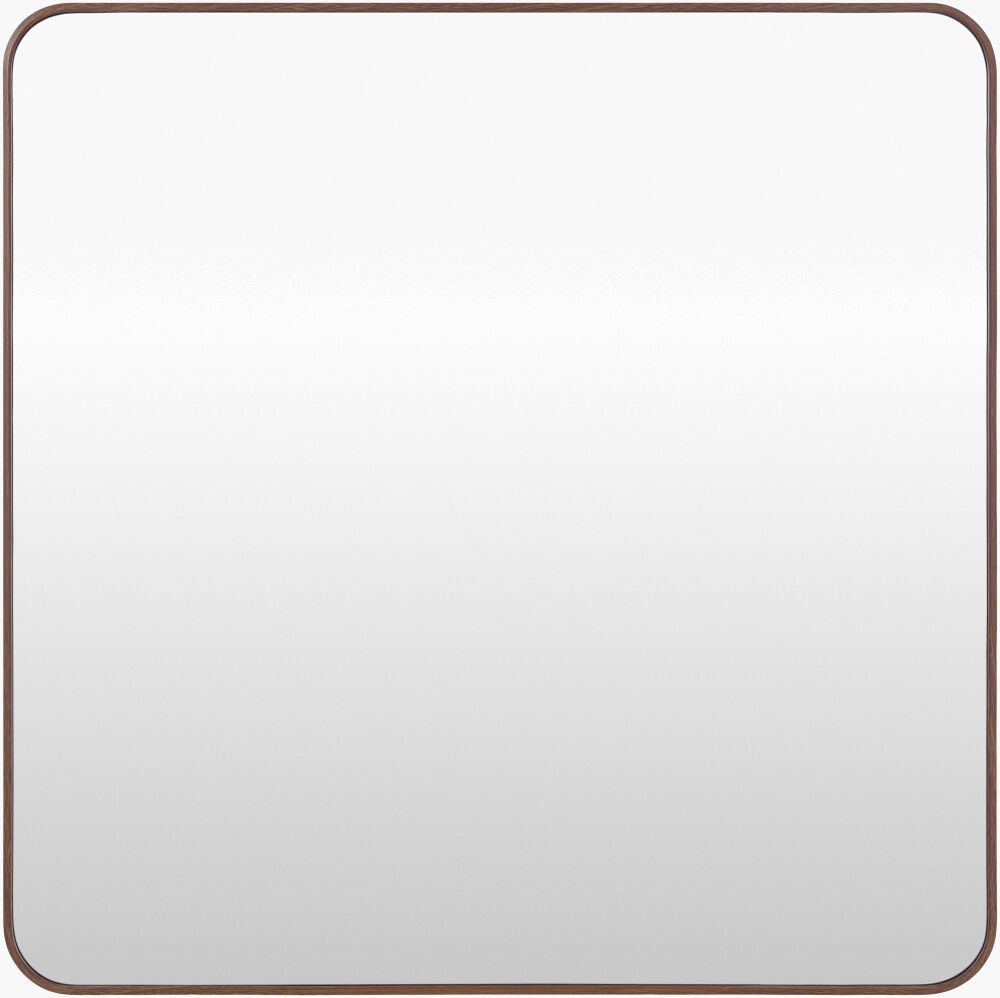 Aranya Accent Mirror
