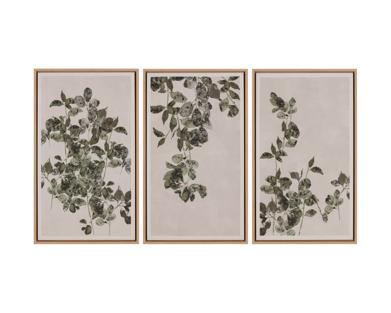 Botanical Study II - 18.5" X 31" - Natural Floater Frame