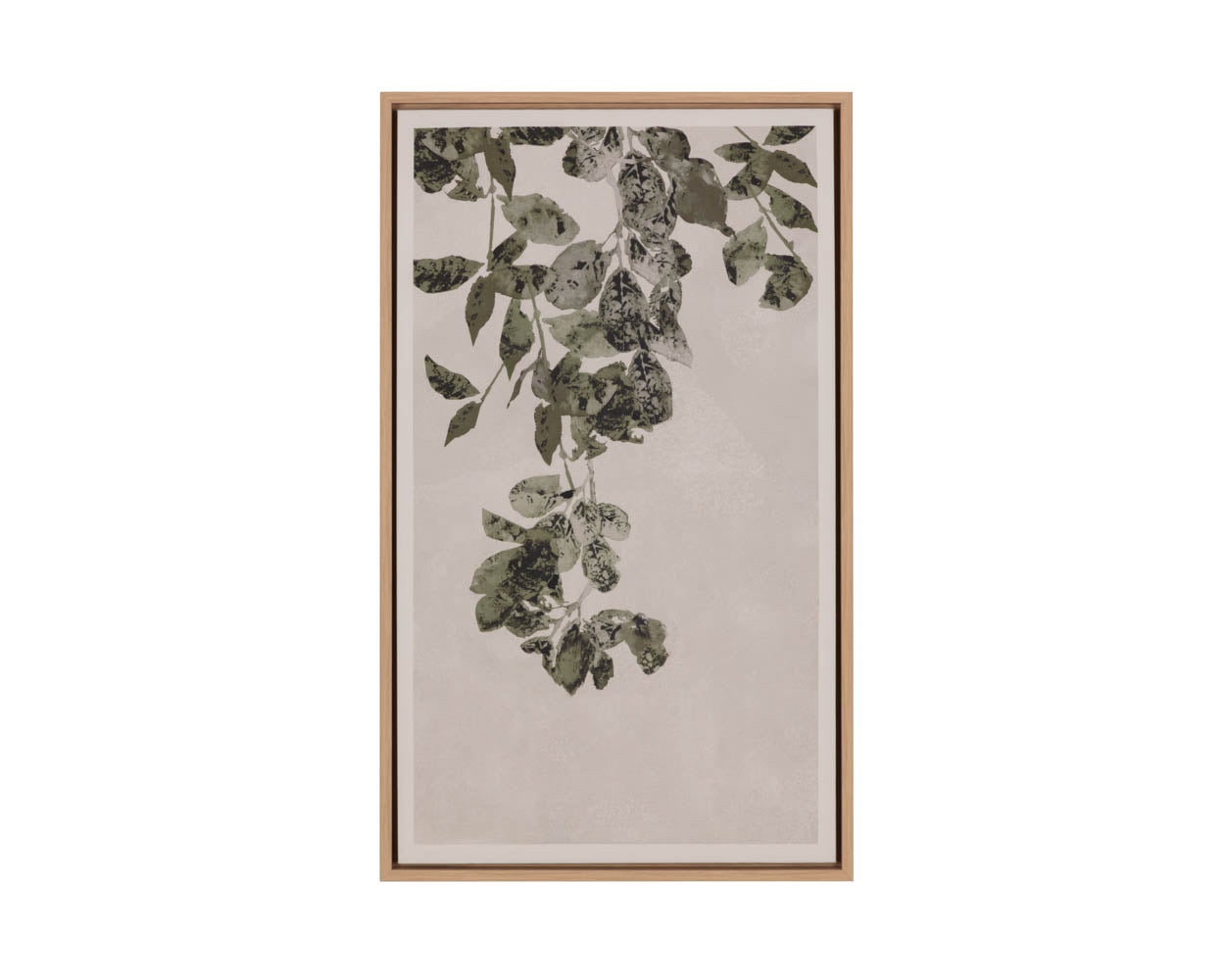 Botanical Study II - 18.5" X 31" - Natural Floater Frame