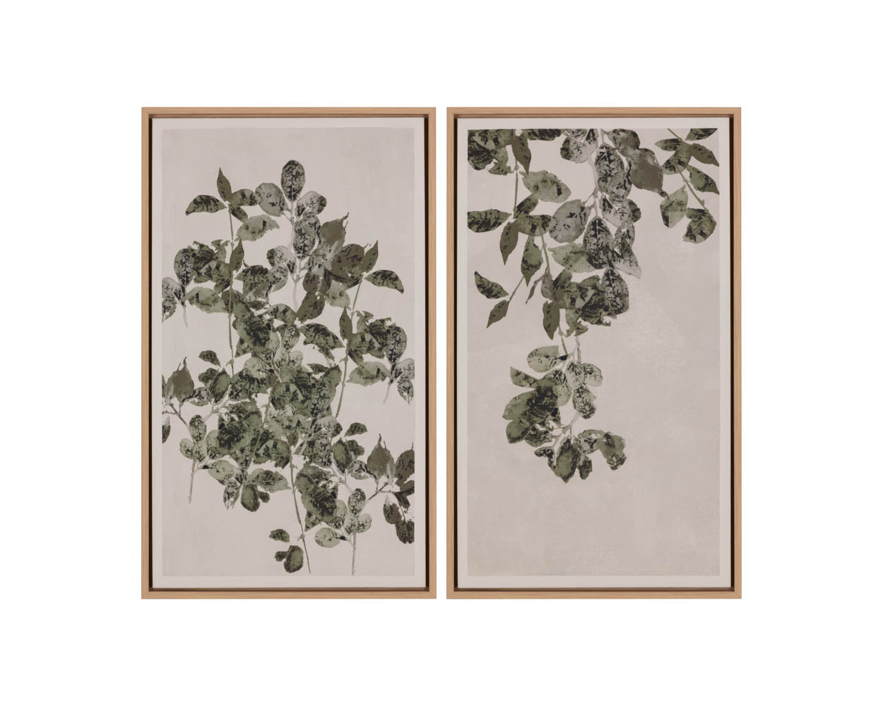 Botanical Study II - 18.5" X 31" - Natural Floater Frame