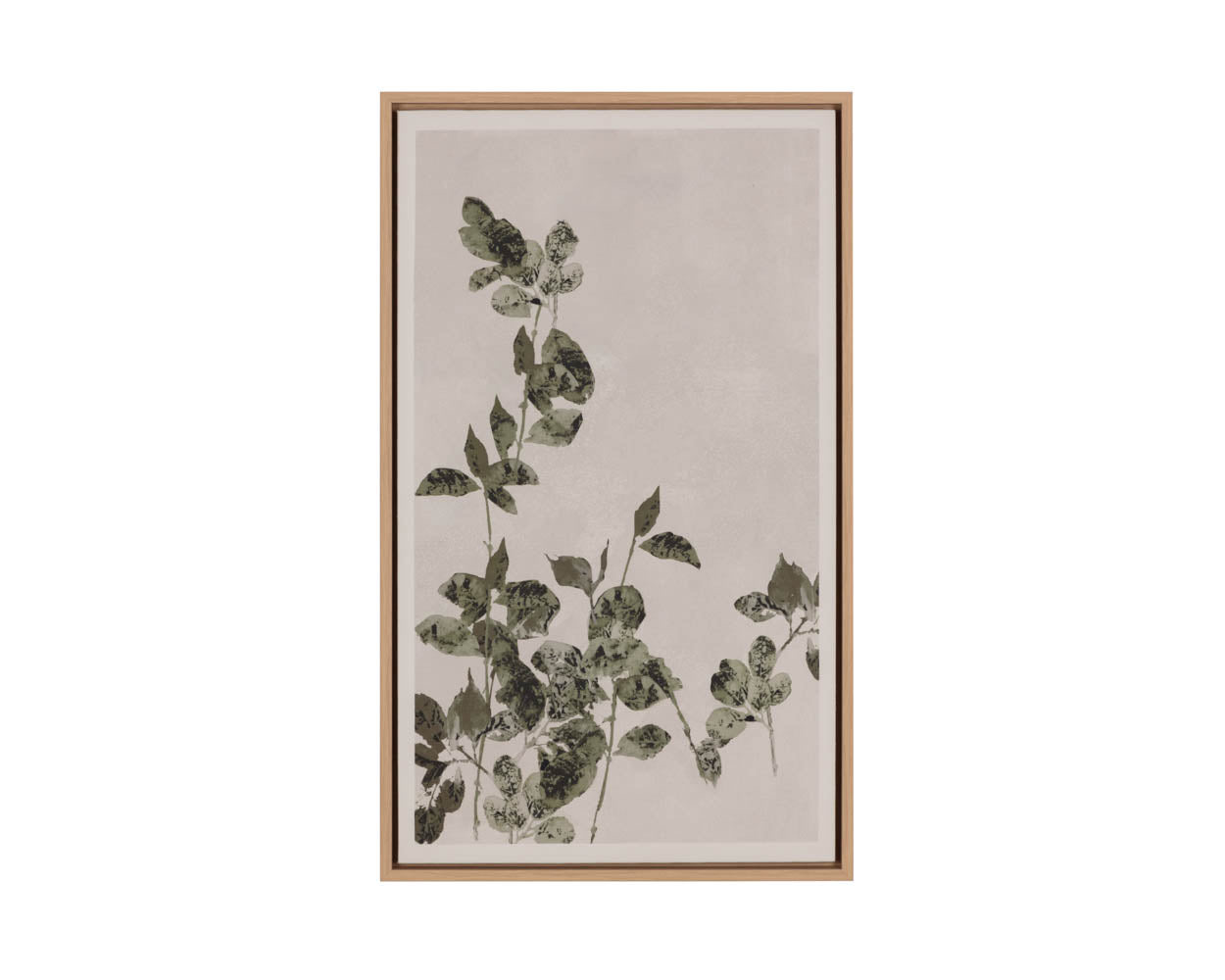 Botanical Study III - 18.5" X 31" - Natural Floater Frame