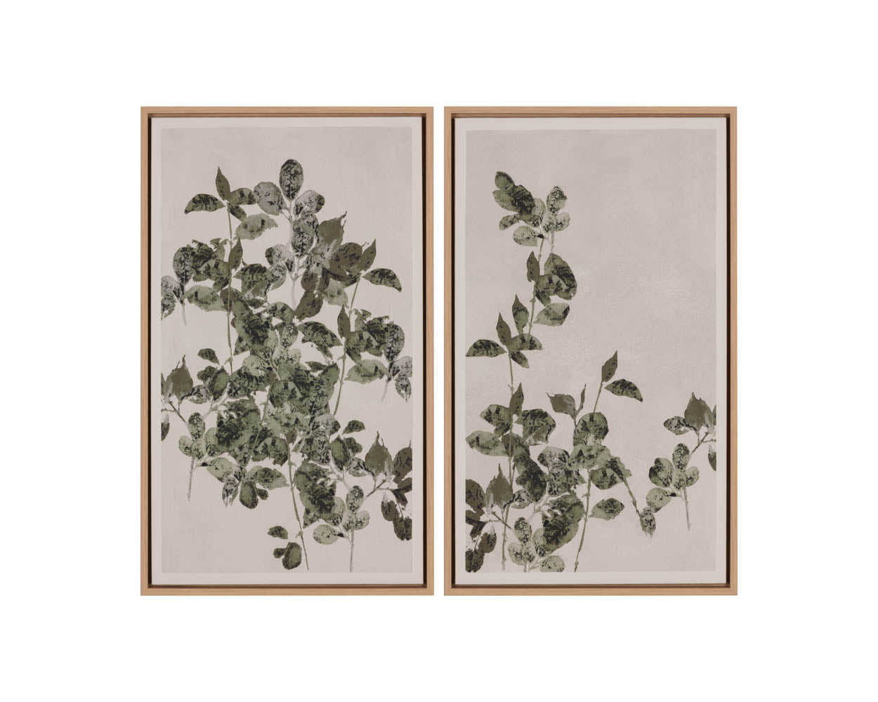 Botanical Study III - 18.5" X 31" - Natural Floater Frame