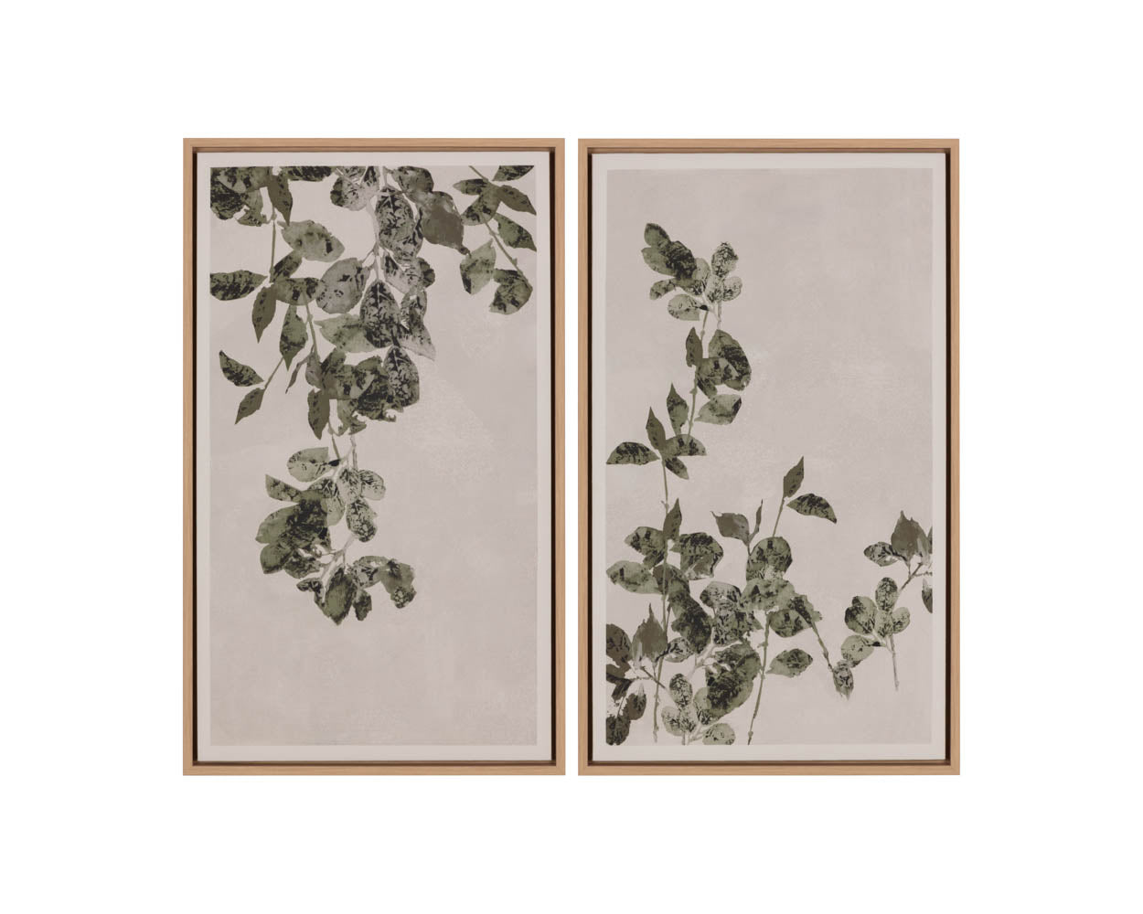 Botanical Study III - 18.5" X 31" - Natural Floater Frame