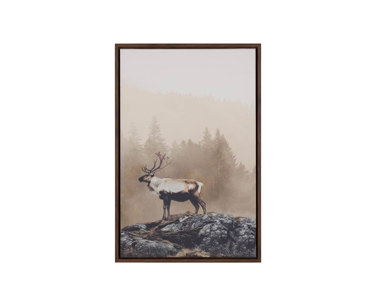 Into The Wild I - 20" X 30" - Brown Floater Frame