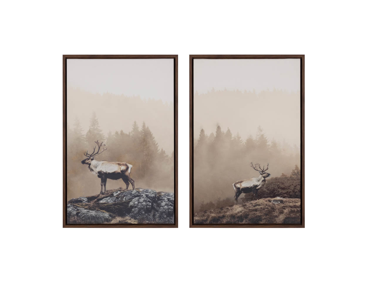 Into The Wild II - 20" X 30" - Brown Floater Frame
