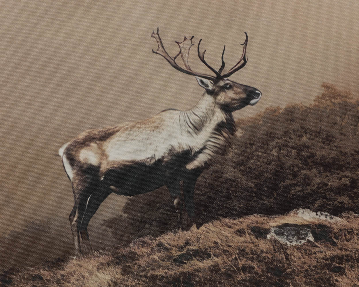Into The Wild II - 20" X 30" - Brown Floater Frame