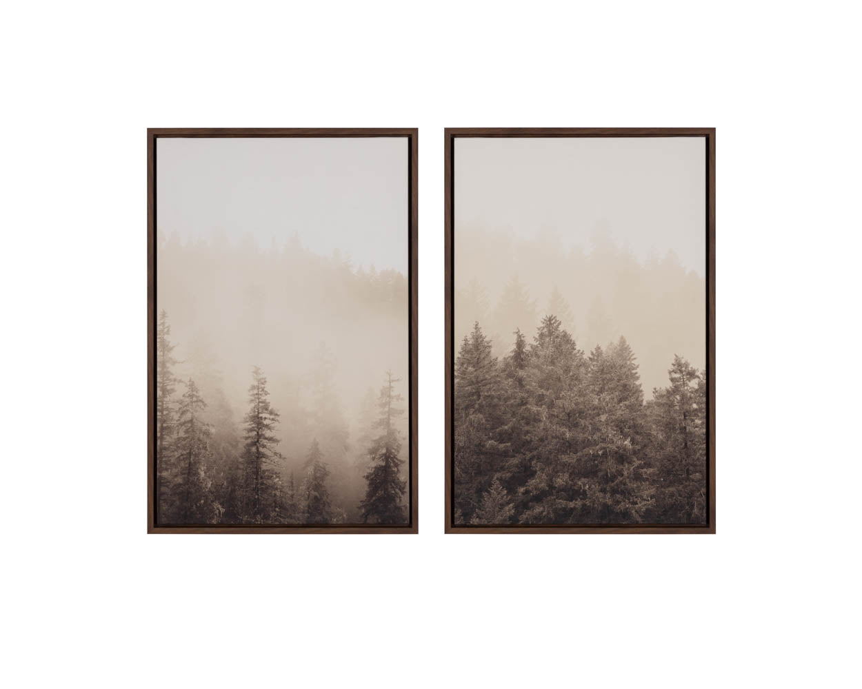 Mistwood I - 20" X 30" - Brown Floater Frame