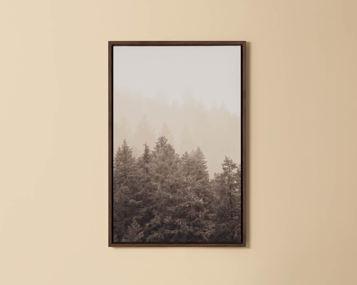 Mistwood II - 20" X 30" - Brown Floater Frame