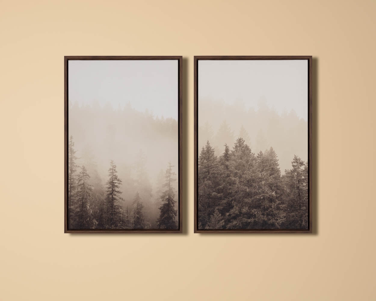 Mistwood II - 20" X 30" - Brown Floater Frame