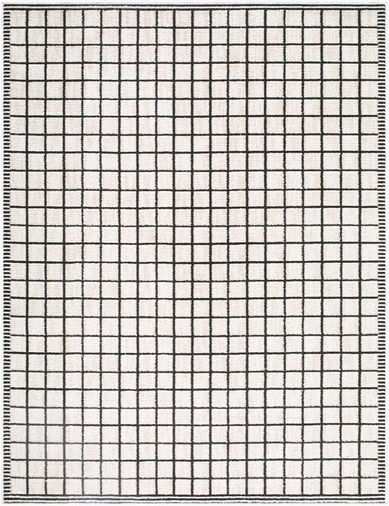 Odeon Machine Woven Rug