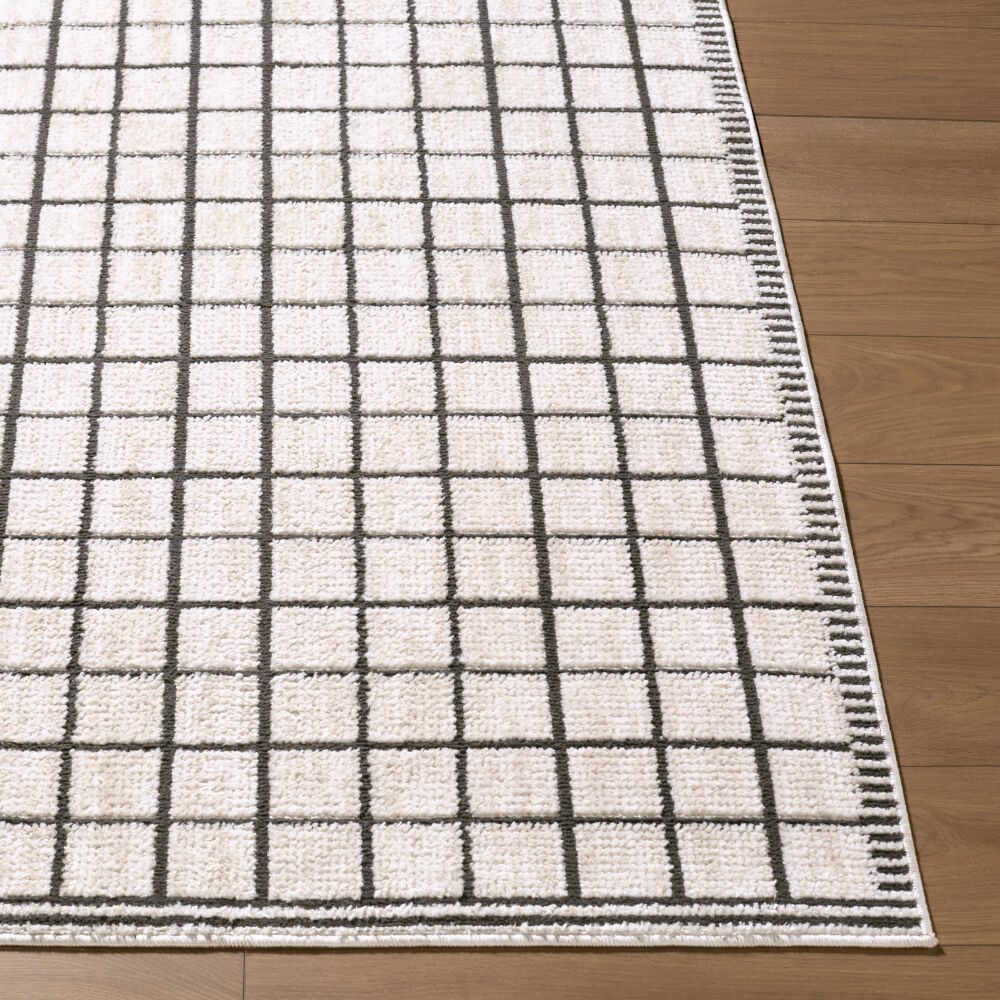 Odeon Machine Woven Rug