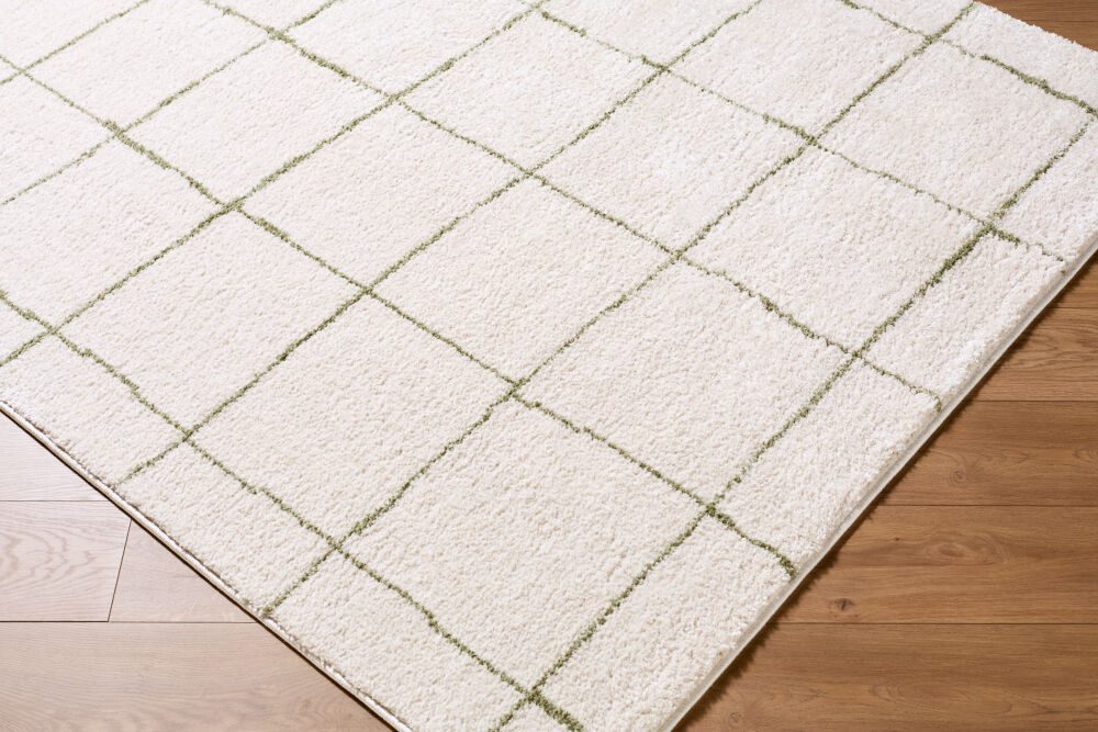 Rivoli Machine Woven Rug