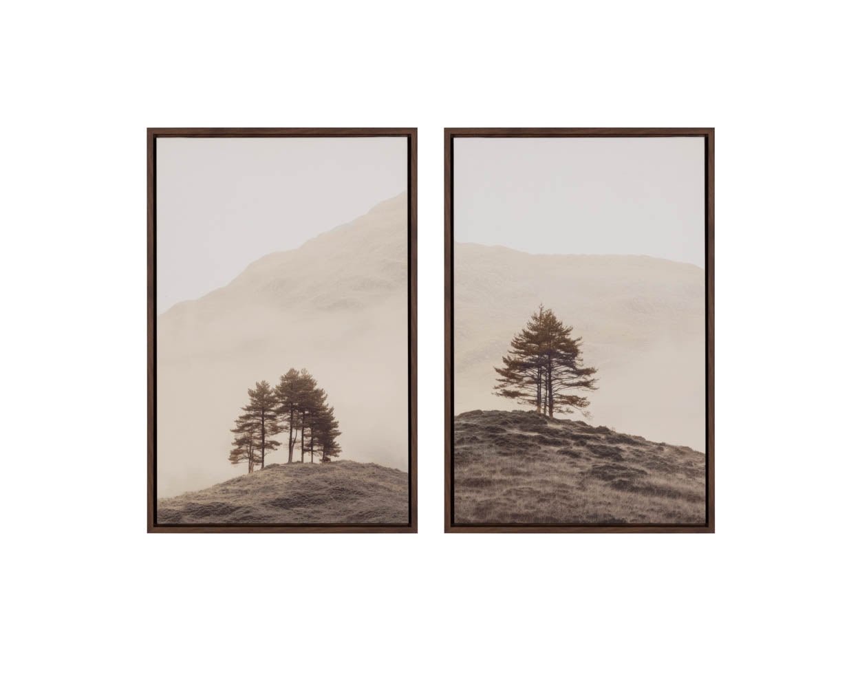 Together Alone I - 20" X 30" - Brown Floater Frame