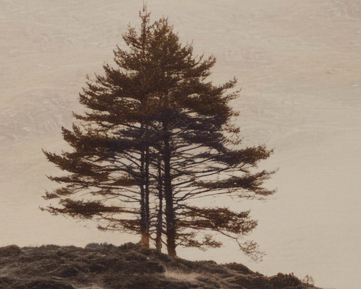 Together Alone II - 20" X 30" - Brown Floater Frame