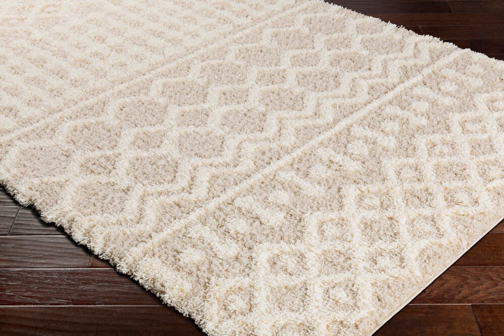 Urban Shag Machine Woven Rug