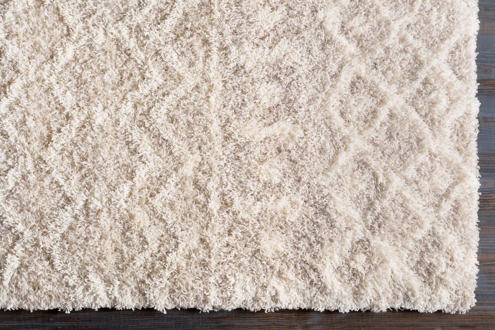 Urban Shag Machine Woven Rug